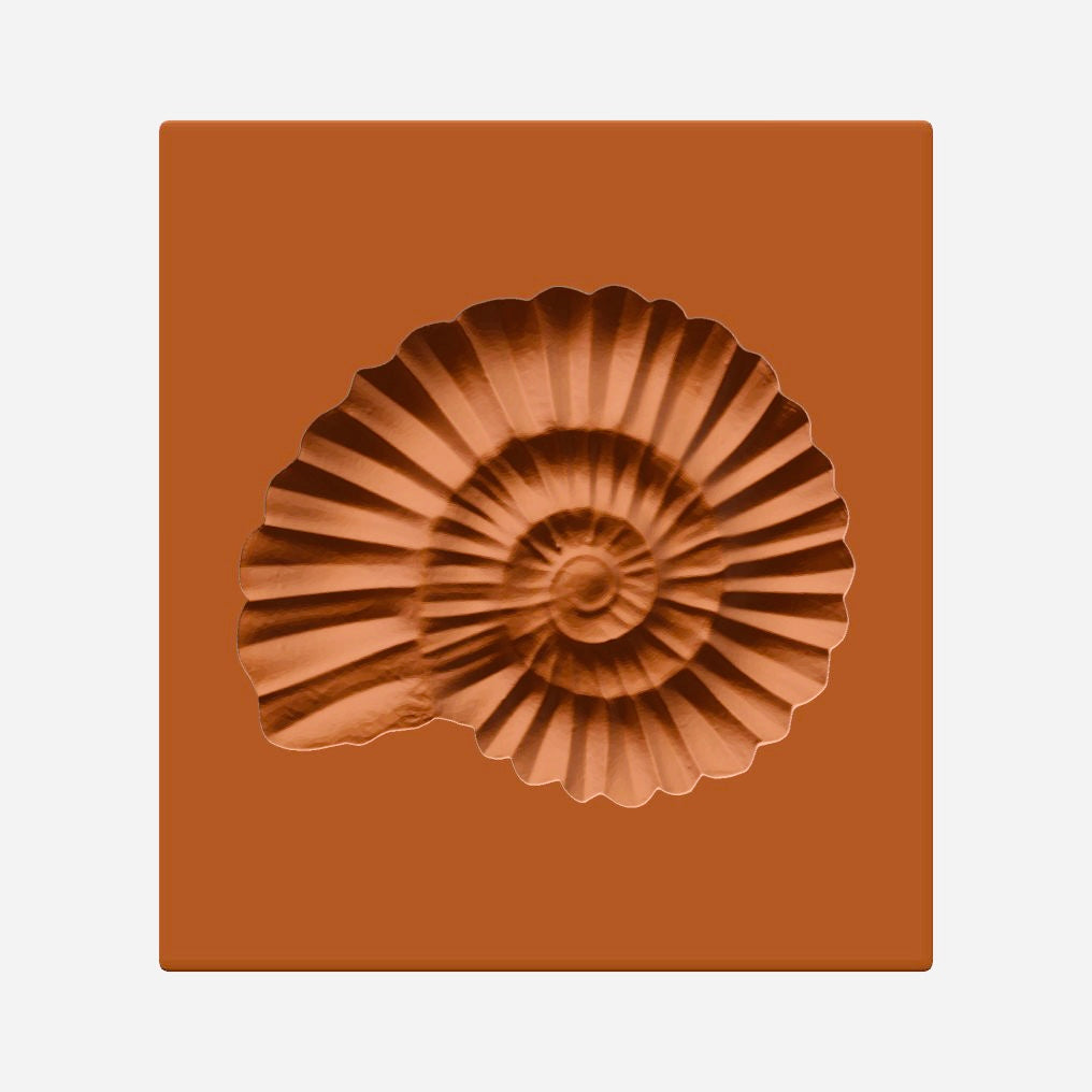 Ammonit | Emma&amp;#39;s Springerle