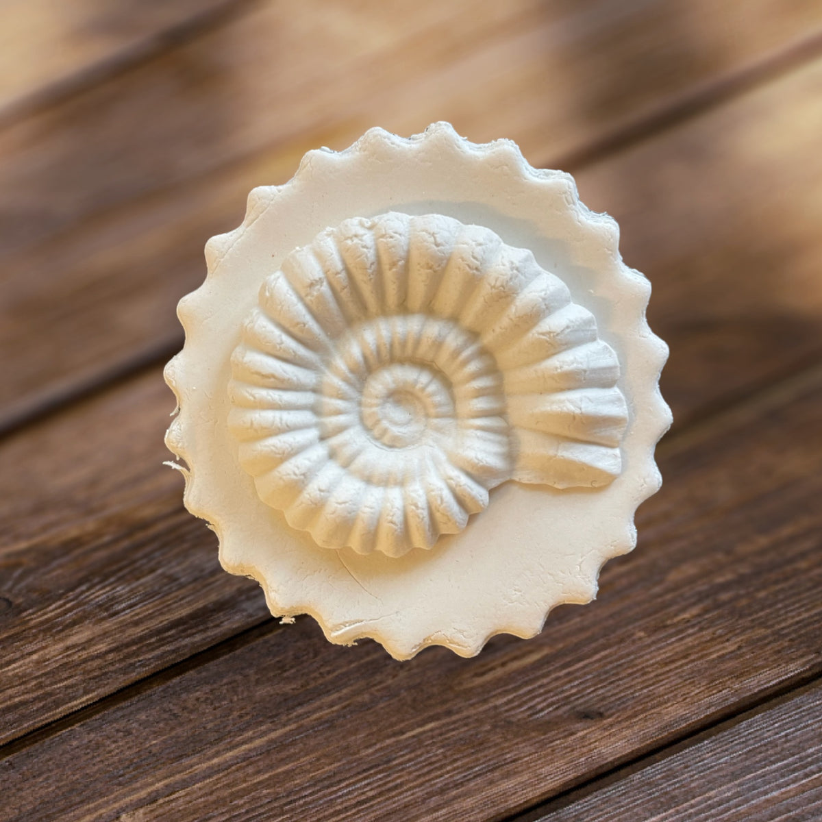 Ammonite
