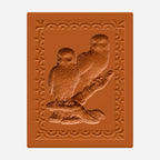 Owls on branch