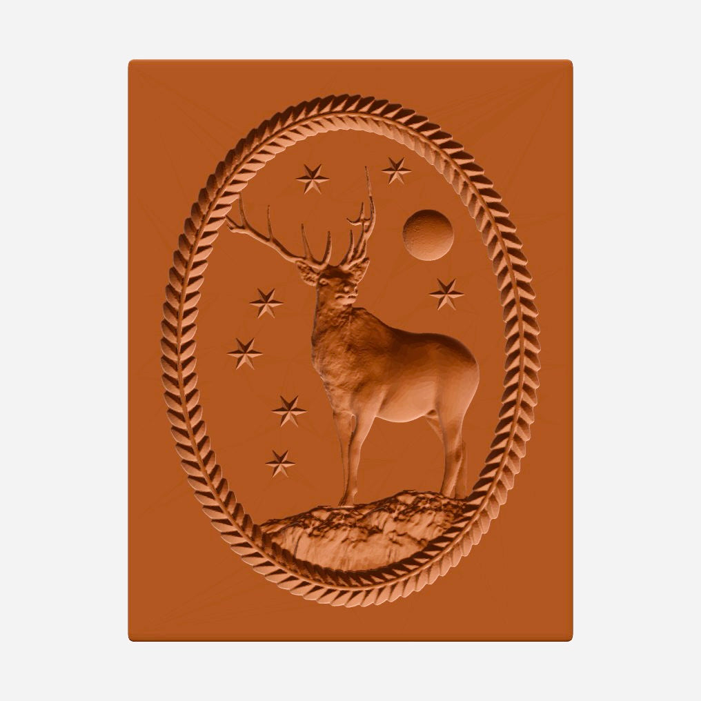 Deer on rock