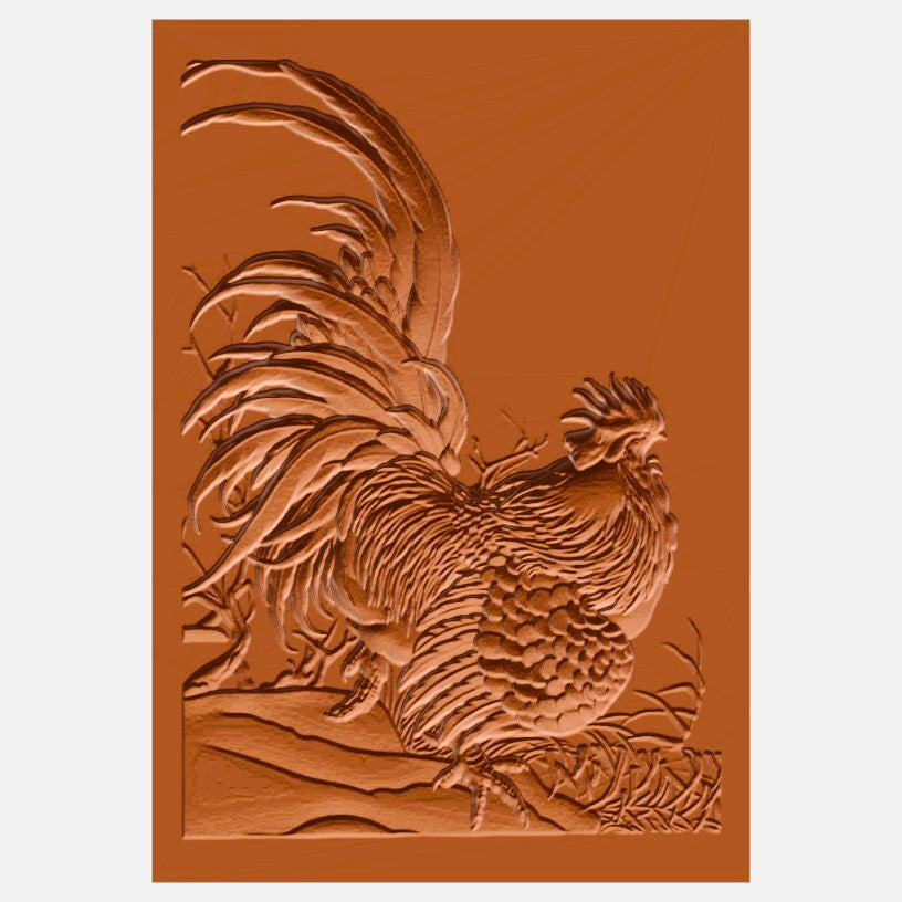 Proud rooster