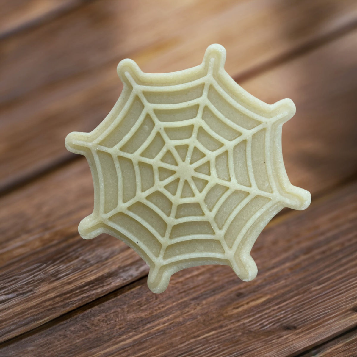 Spinnennetz