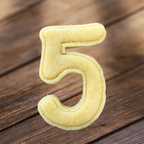 Zahl "5"