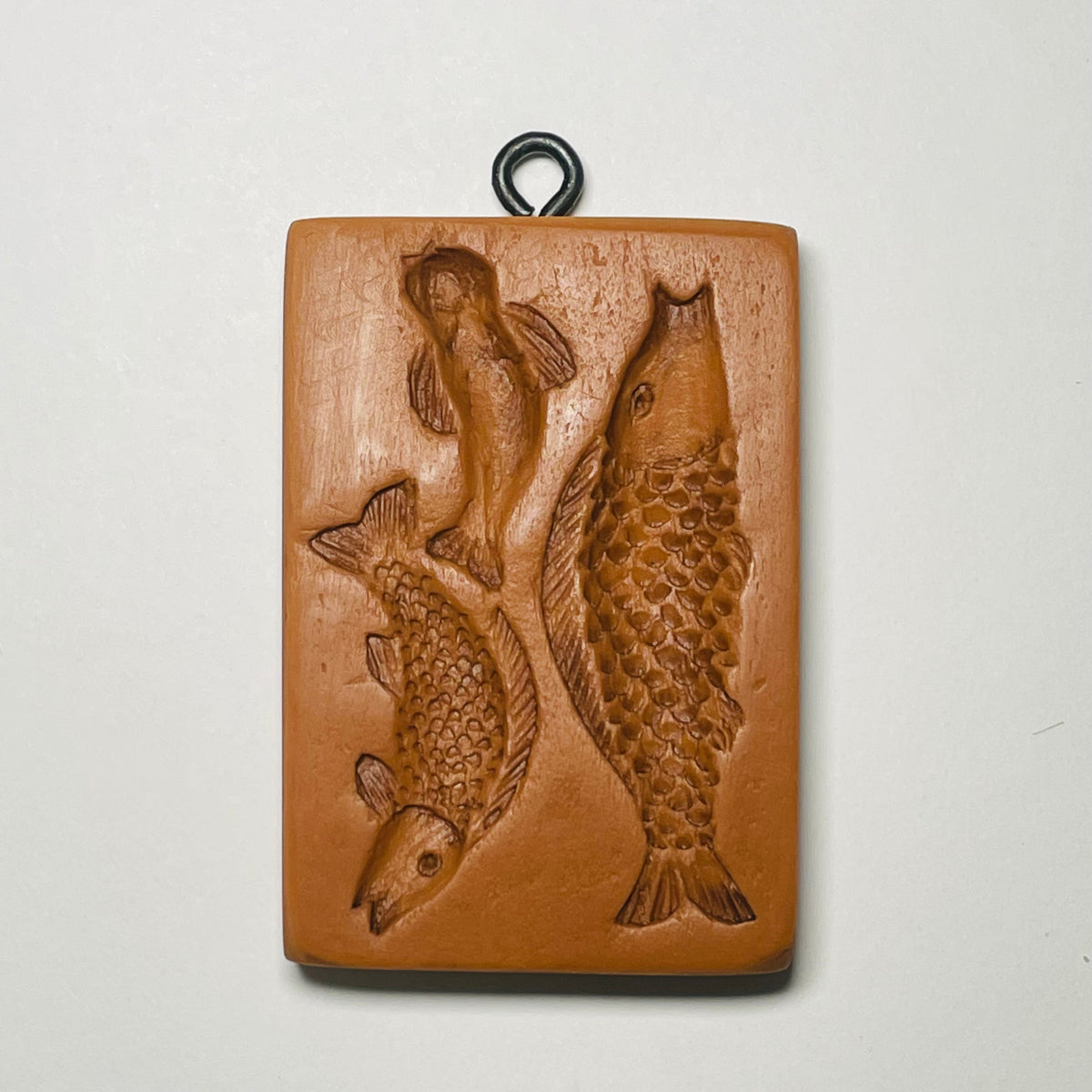 Fischschwarm