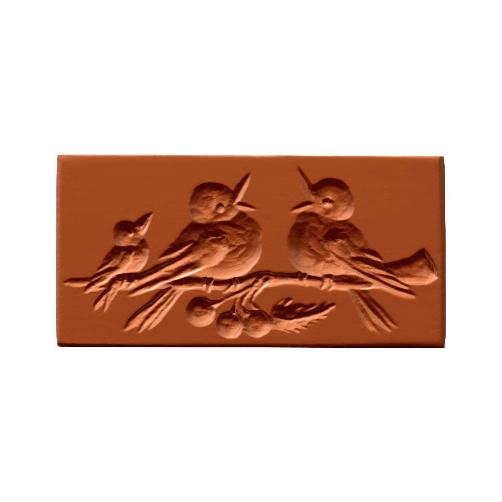 Vogelfamilie