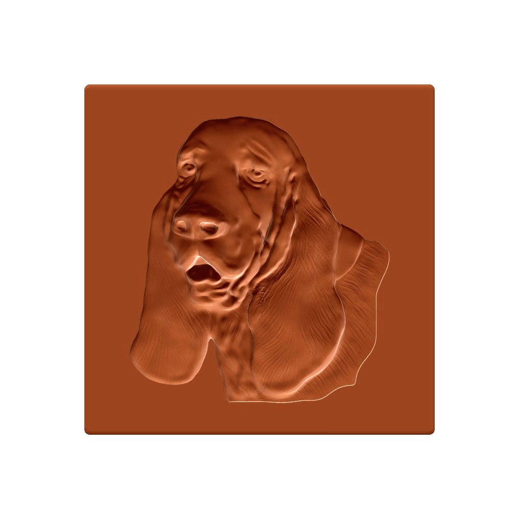 Hundekopf Basset
